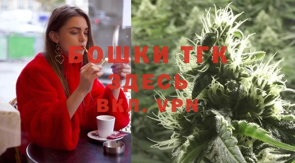крисы Алексин
