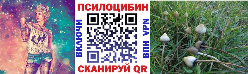 Псилоцибиновые грибы ЛСД  Карачев 